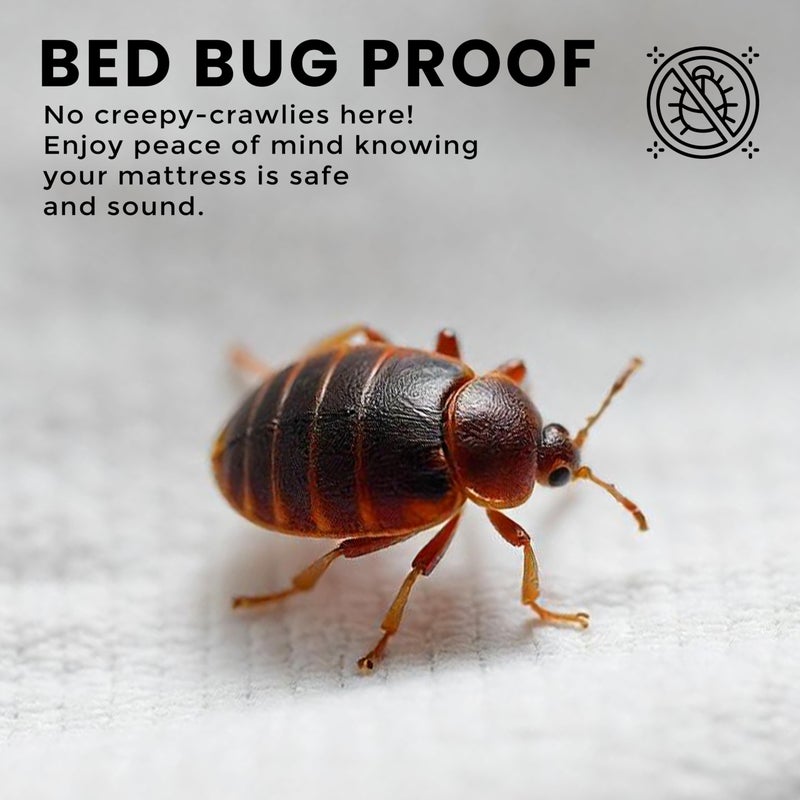 Utopia Bedding Utopia Bedding Premium Waterproof Bed Bug Mattress Cover, King Zippered Mattress Protector, 12 Inches Deep, Dust Mite Proof 6-Sided Mattress Encasement for Bed  - Image 4