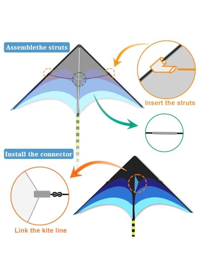 Delta Kite for for All Ages, Easy to Fly Large, The Easiest Single Line Beach Kite Comes with 100M String Handle (Blue) - Image 4