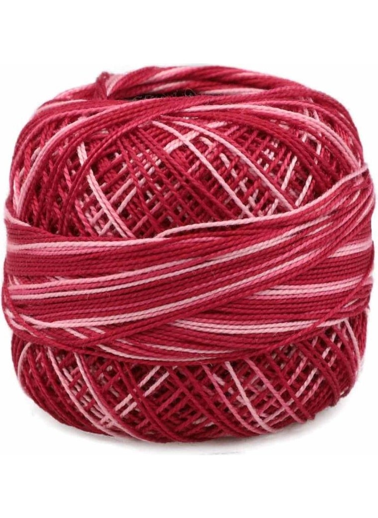 Domino Mercerized Embroidery Floss No 12 01204 