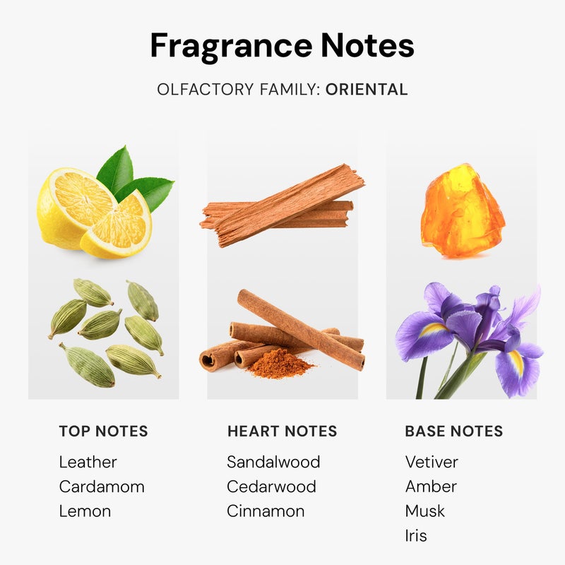 SCENTEMOTION My Way Diffuser Oil Inspired by The 1 Miami Beach Scent, Scent Diffuser Oil with Notes of Cardamom, Leather, Lemon & Iris, Aromatherapy Fragrance, Essential Oil Blend | 120ml, 4.05 fl oz - Image 4