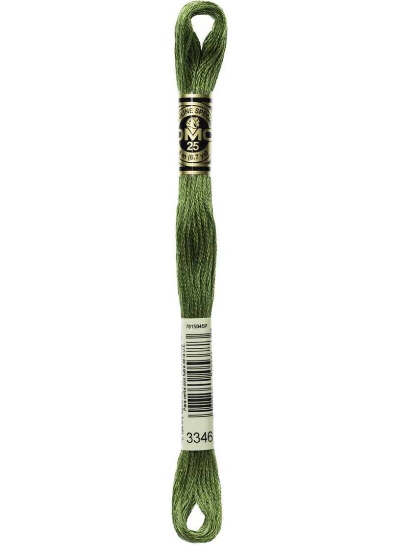 DMC Muline -Tapestry Embroidery Thread 3346 