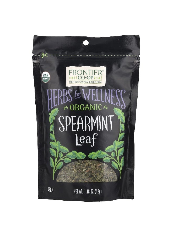 Frontier Co-op Frontier Co-op, Organic Spearmint Leaf, 1.48 oz (42 g)  - Image 1