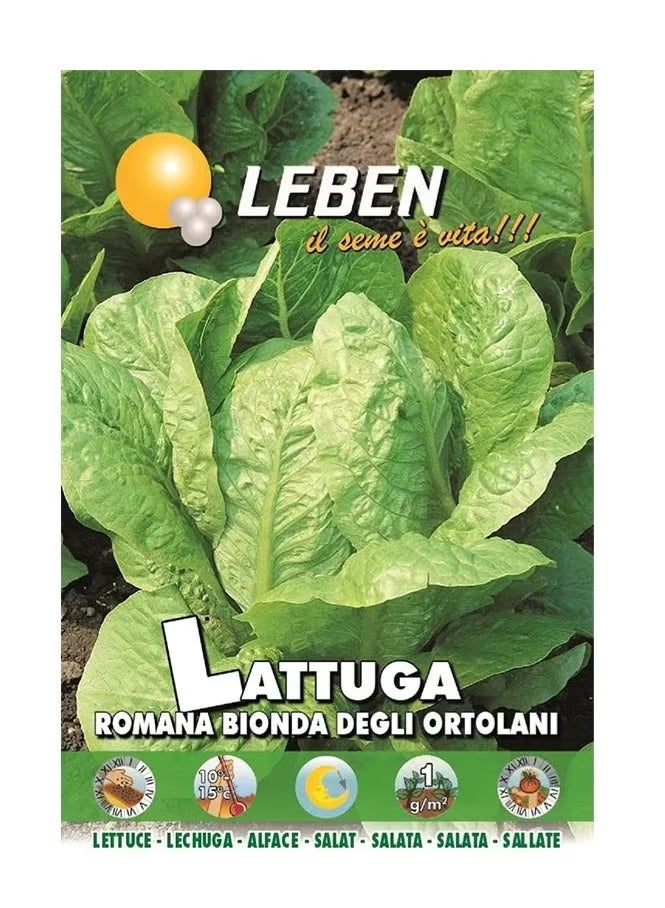 ليبن الخس الروماني لاتوجا رومانا بيوندا ديجلي أورتولاني بذور عالية الجودة مصنوعة في إيطاليا