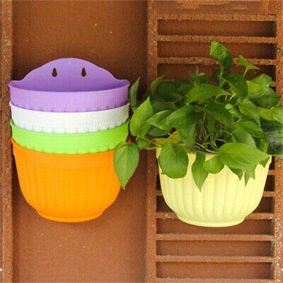 VGreen Garden VGreen Wall Flora Hanging Pot Set of 4 Pcs 10 Inch Multi - Image 4