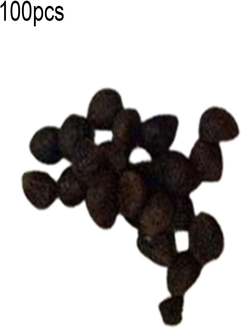 جي جوت 100 قطعة/حقيبة من بذور كامبسيس جرانديفلورا الطازجة سهلة الزراعة، متنوعة الألوان، نباتات متسلقة ملونة للحديقة، بذور للمنزل - بذور كامبسيس جرانديفلورا - Image 5