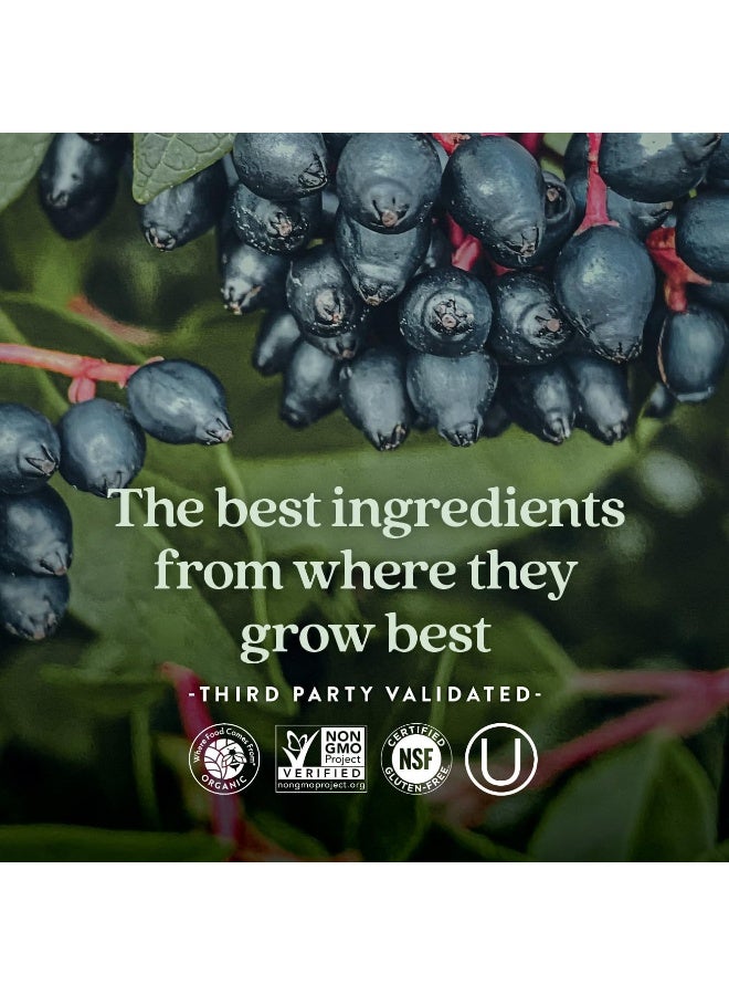 New Chapter Zinc Supplement, New Chapter Fermented Zinc Complex, ONE Daily for Immune Support + Skin Health + Non-GMO Ingredients, Easy to Swallow & Digest, 30 Count (1 Month Supply) - Image 5