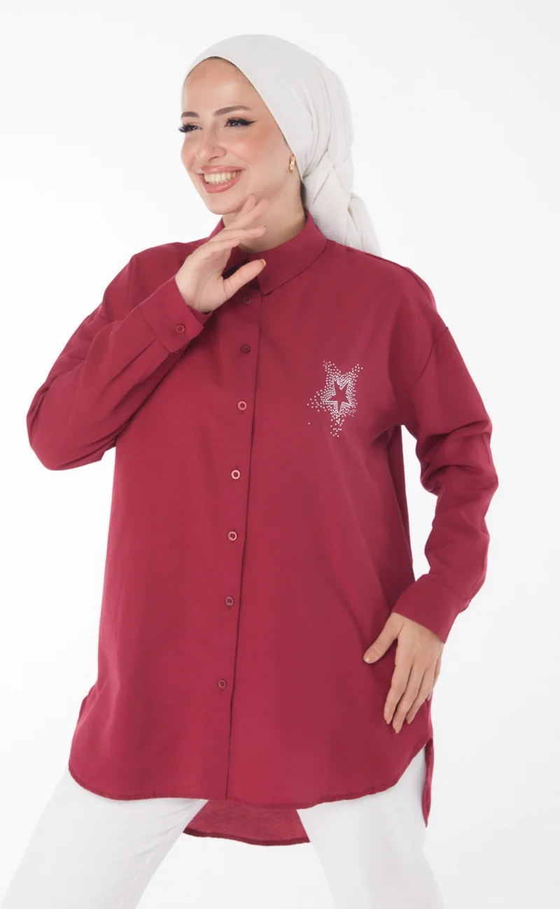 Tofisa Plain Shirt Collar Women's Claret Red Shirt - 13238