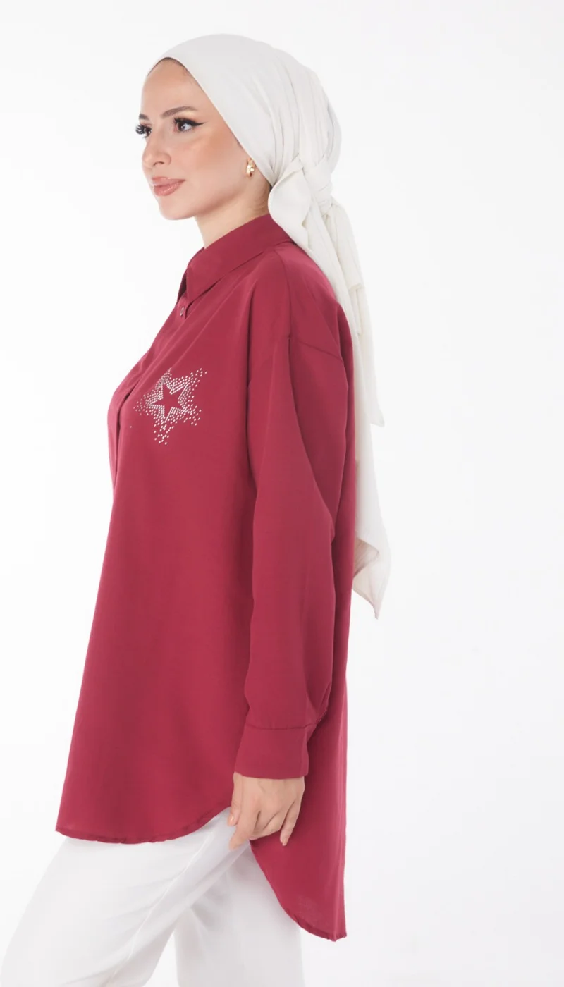 Tofisa Plain Shirt Collar Women's Claret Red Shirt - 13238