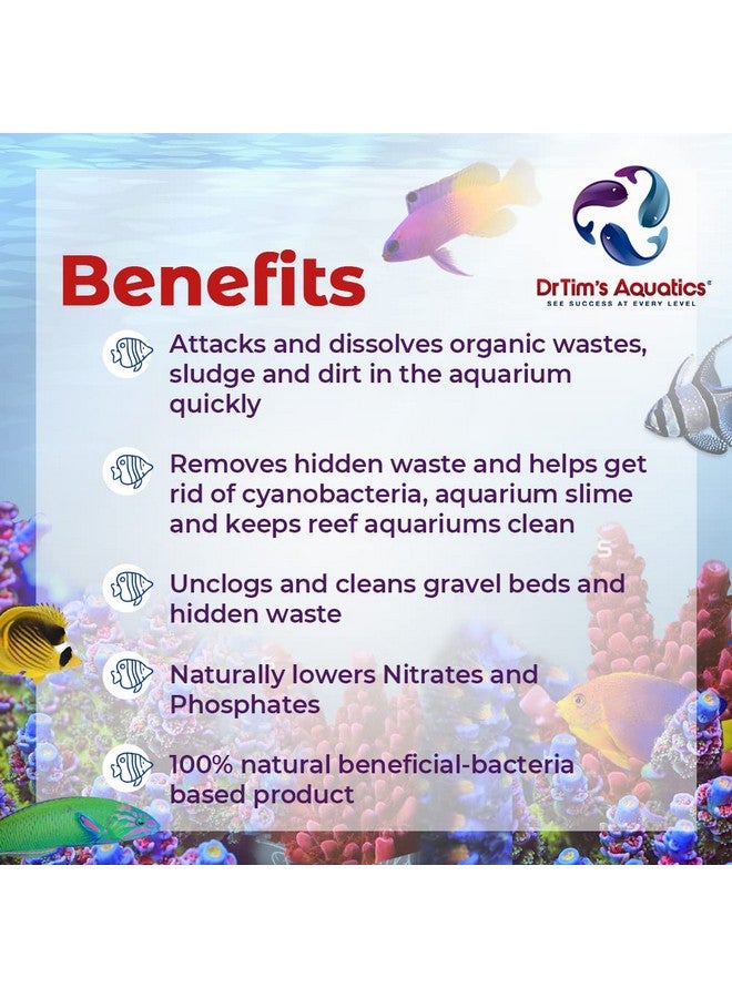 دي آر تيم أكواتيكز Saltwater Waste-Away - حل طبيعي لإدارة نفايات أحواض الأسماك والأحواض المائية لإذابة الحمأة العضوية النظيفة - 16 أونصة - يعالج 480 جالونًا - Image 2