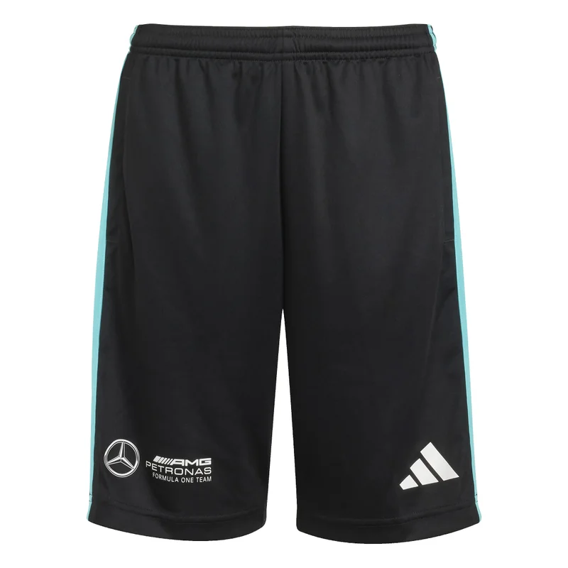 Adidas MERCEDES - AMG PETRONAS FORMULA ONE TEAM DNA SHORT