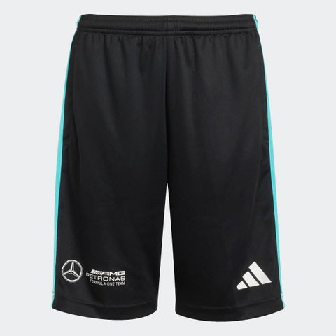 مرسيدس إيه إم جي بتروناس فورمولا  فريق دي إن إيه قصير