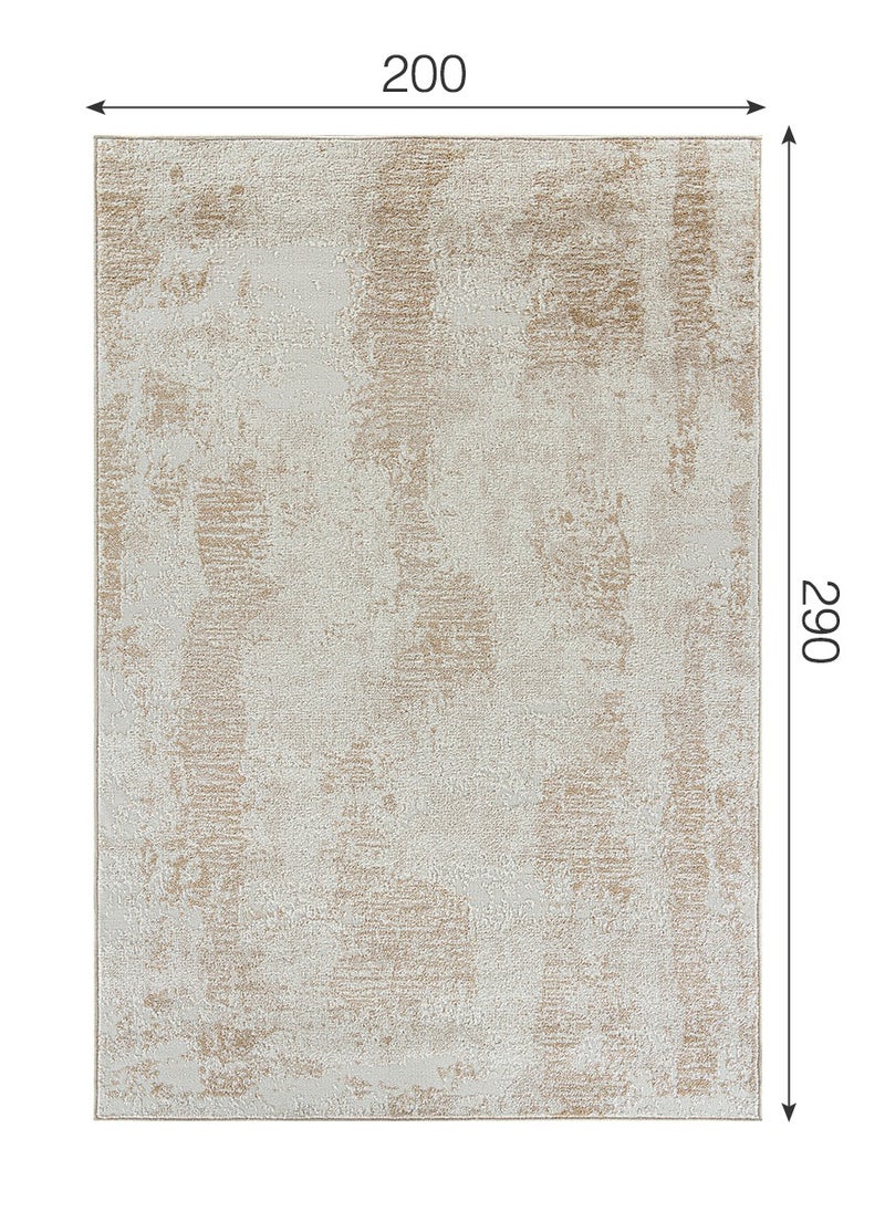 MERINOS Modern Vintage Style Area Rug Non-Slip Super Soft Touch Living Room Bedroom Floor Decoration Carpet Beige Natural Light Rectangular 200x300 cm  - Image 2