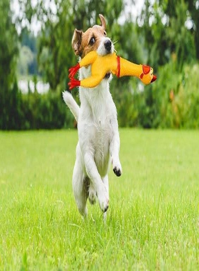 BohoBark Durable Chew Toy Ball+ Doumble + Chicken for Dogs Chewing, Playing, Teething & Training for Small to Medium Dogs & Puppies in one Pack 3 Toys - Image 3