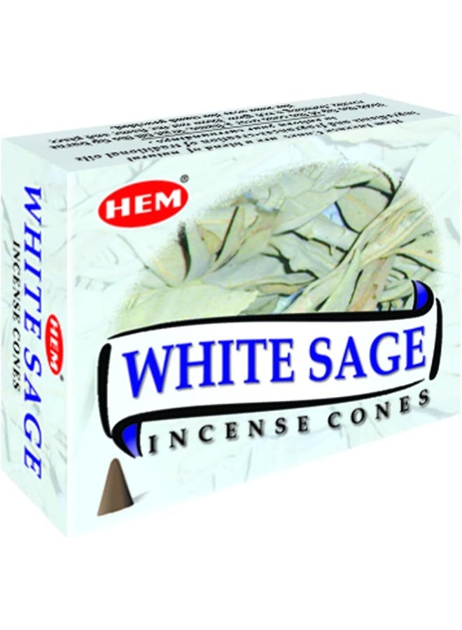 HEM White Sage Incense Cones - Image 1