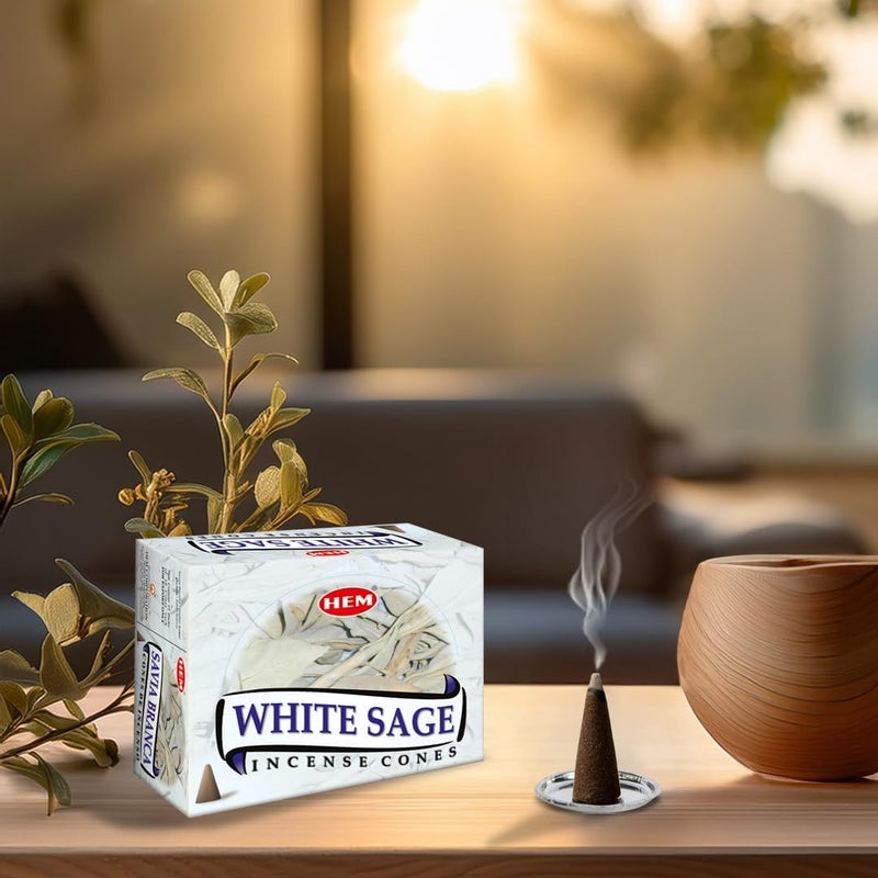 HEM White Sage Incense Cones - Image 4