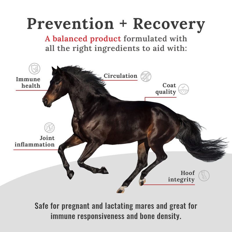 Mojo Joint Horse Supplements, Equine Pelleted Supplement, All Natural Joint Care Supplement for Horses, 10 lbs - Image 2