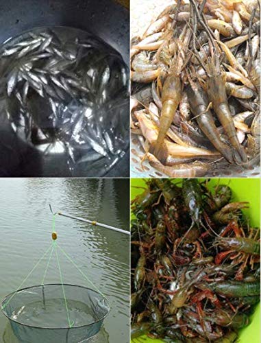 Laxygo LikeFish Foldable Fishing Net Hand Casting Cage Crab Net for Minnows, Crab, Lobsters, Fishes (Small-Dia 31.5"/23.6") - Image 5