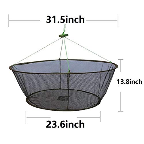 Laxygo LikeFish Foldable Fishing Net Hand Casting Cage Crab Net for Minnows, Crab, Lobsters, Fishes (Small-Dia 31.5"/23.6") - Image 2