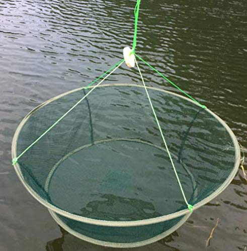Laxygo LikeFish Foldable Fishing Net Hand Casting Cage Crab Net for Minnows, Crab, Lobsters, Fishes (Small-Dia 31.5"/23.6") - Image 4