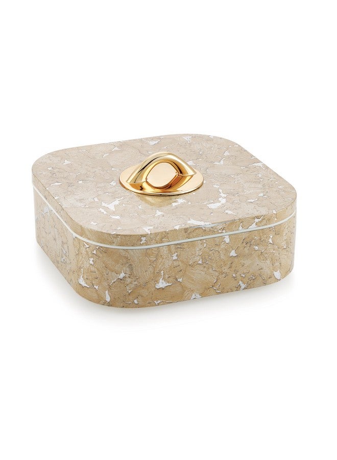 Nabhya 4 Compartment Revolving Multipurpose Dry Fruit Air Tight Storage Container With inner Steel Serving Tray Container for Home & Kitchen (Beige) - Image 5