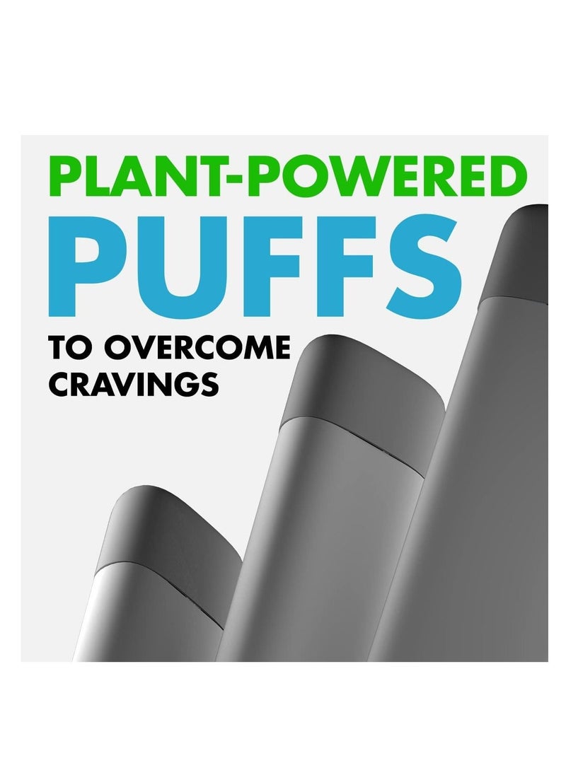 Puffer Inhaler - Behavioral Support - Made in USA - Spearmint - 1PK