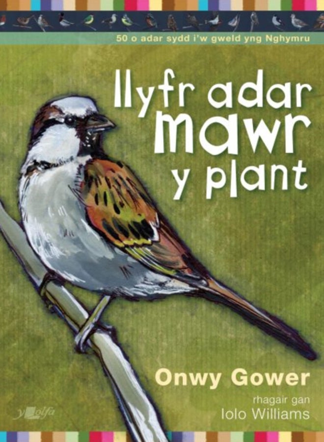 Llyfr Adar Mawr y Plant 