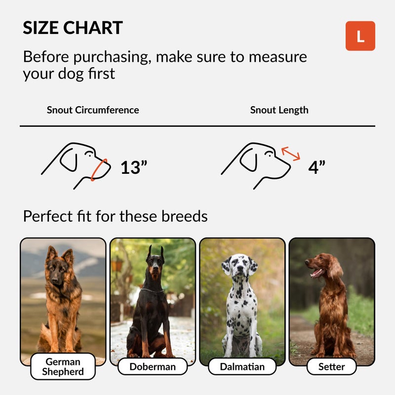 CollarDirect Dog Muzzle German Shepherd Dalmatian Doberman Setter Leather Basket Medium Large Breeds (Black, Large) - Image 2