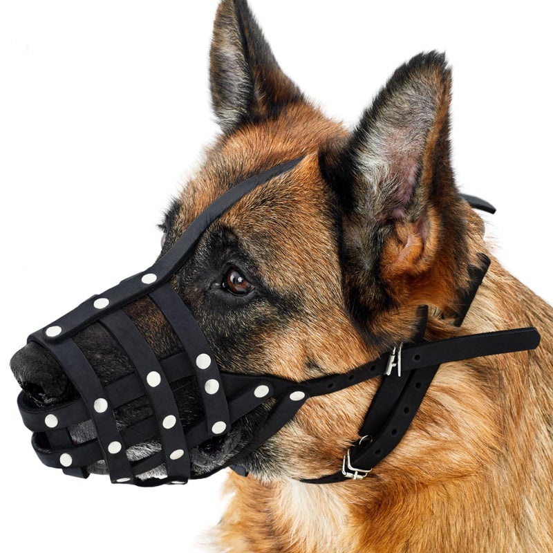 CollarDirect Dog Muzzle German Shepherd Dalmatian Doberman Setter Leather Basket Medium Large Breeds (Black, Large) - Image 1