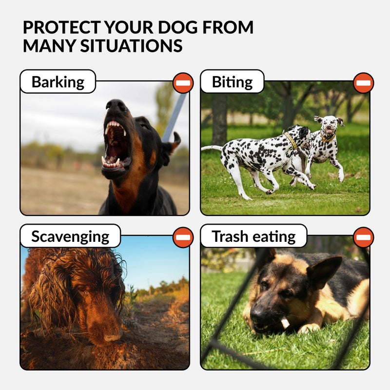 CollarDirect Dog Muzzle German Shepherd Dalmatian Doberman Setter Leather Basket Medium Large Breeds (Black, Large) - Image 4