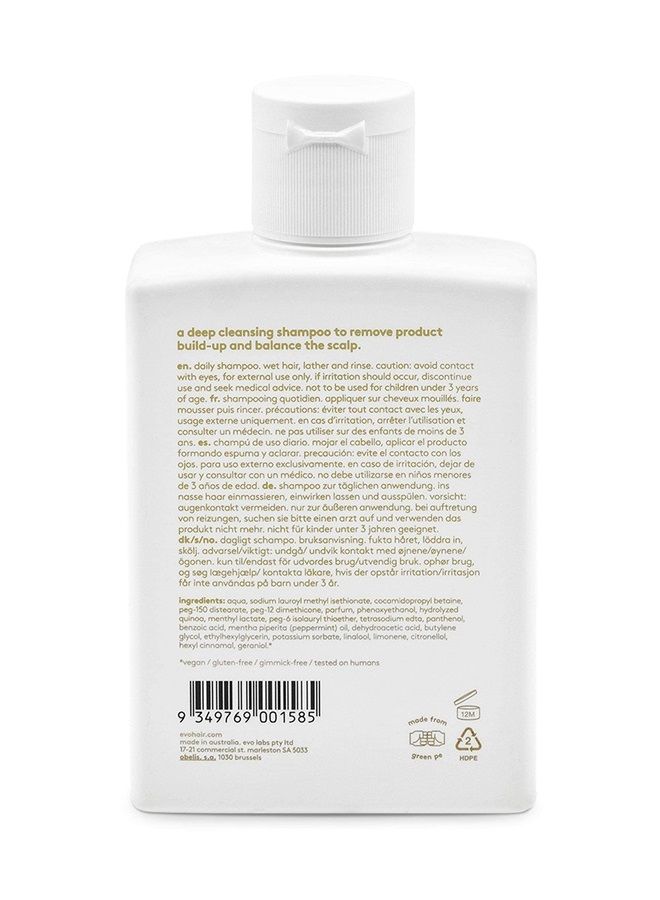 EVO Normal Persons Daily Care Conditioner - Refreshes & Balances Scalp, Reduces Frizz, Reinvigorates Scalp and Hair - 300ml / 10.1fl.oz - Image 2