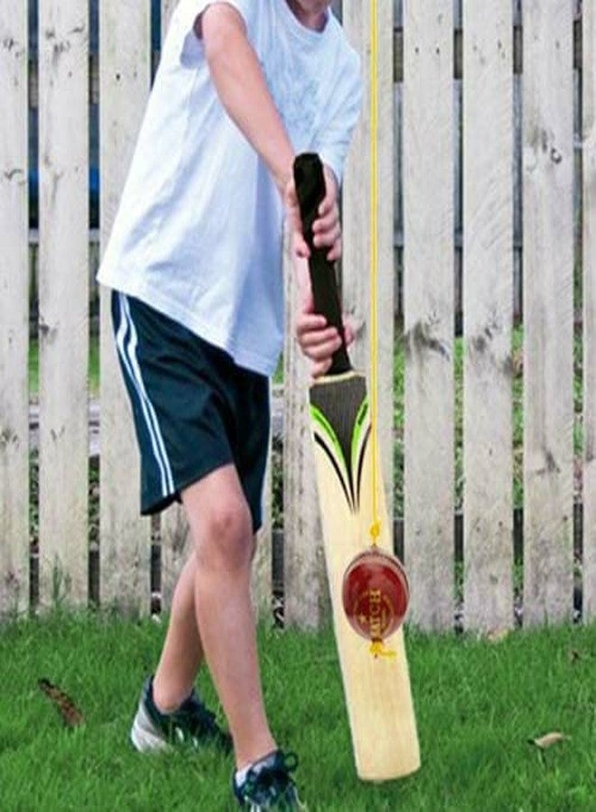 PSE Priya Sports Unisex Red Leather Practice Hanging Cricket Ball - Image 4