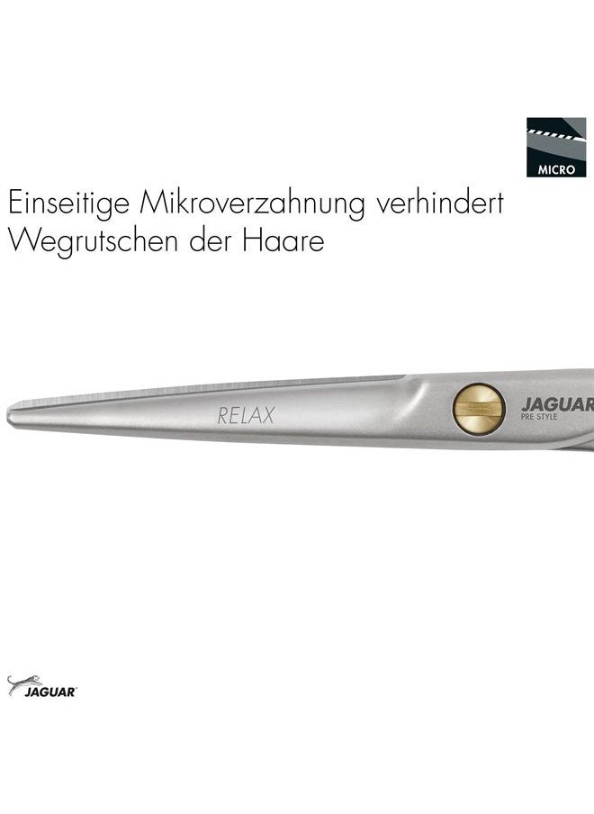 Jaguar Shears Pre Style Relax 6.0 Inch Offset Design Professional Ergonomic Steel Hair Cutting & Trimming Scissors for Salon Stylists, Beauticians, and Barbers - pzsku/Z842FE57ED12E64ECD355Z/45/_/1684217251/848f4a53-4a40-4435-b1bf-b561b4f51202