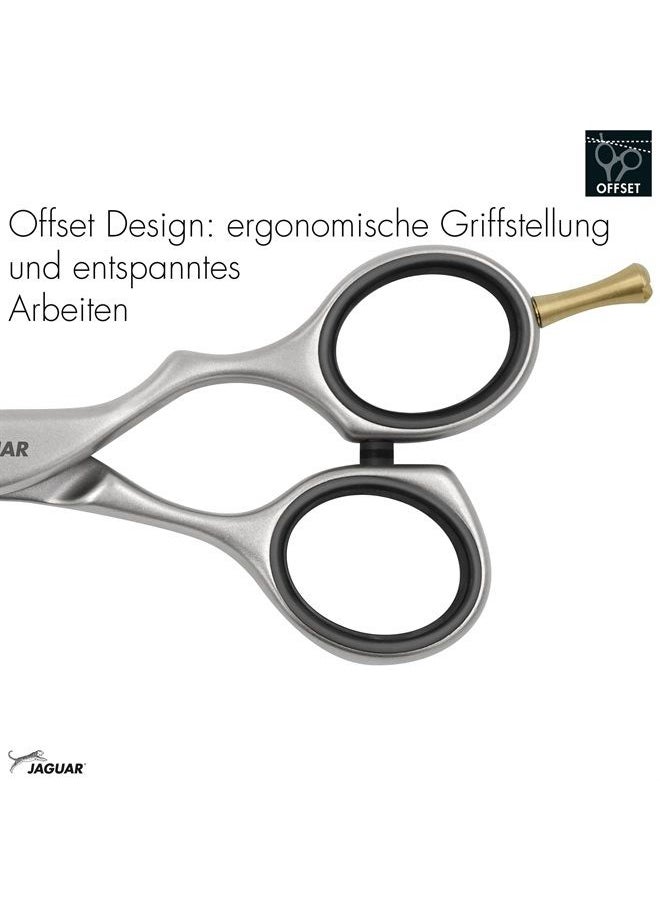 Jaguar Shears Pre Style Relax 6.0 Inch Offset Design Professional Ergonomic Steel Hair Cutting & Trimming Scissors for Salon Stylists, Beauticians, and Barbers - pzsku/Z842FE57ED12E64ECD355Z/45/_/1684217251/a5a3e314-6ee0-499a-9155-c0f8c8ff324c