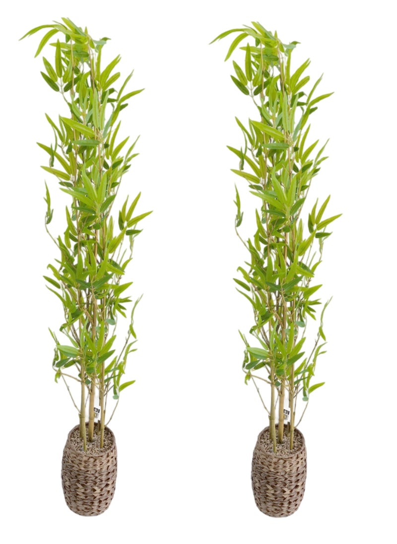 Living Set of 2 Artificial decor Plant fresh and beautiful look 160 CM  - Image 1