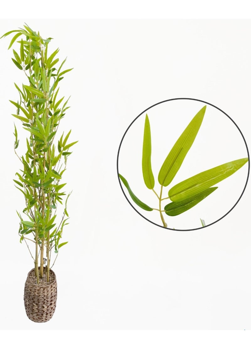 Living Set of 2 Artificial decor Plant fresh and beautiful look 160 CM  - Image 2