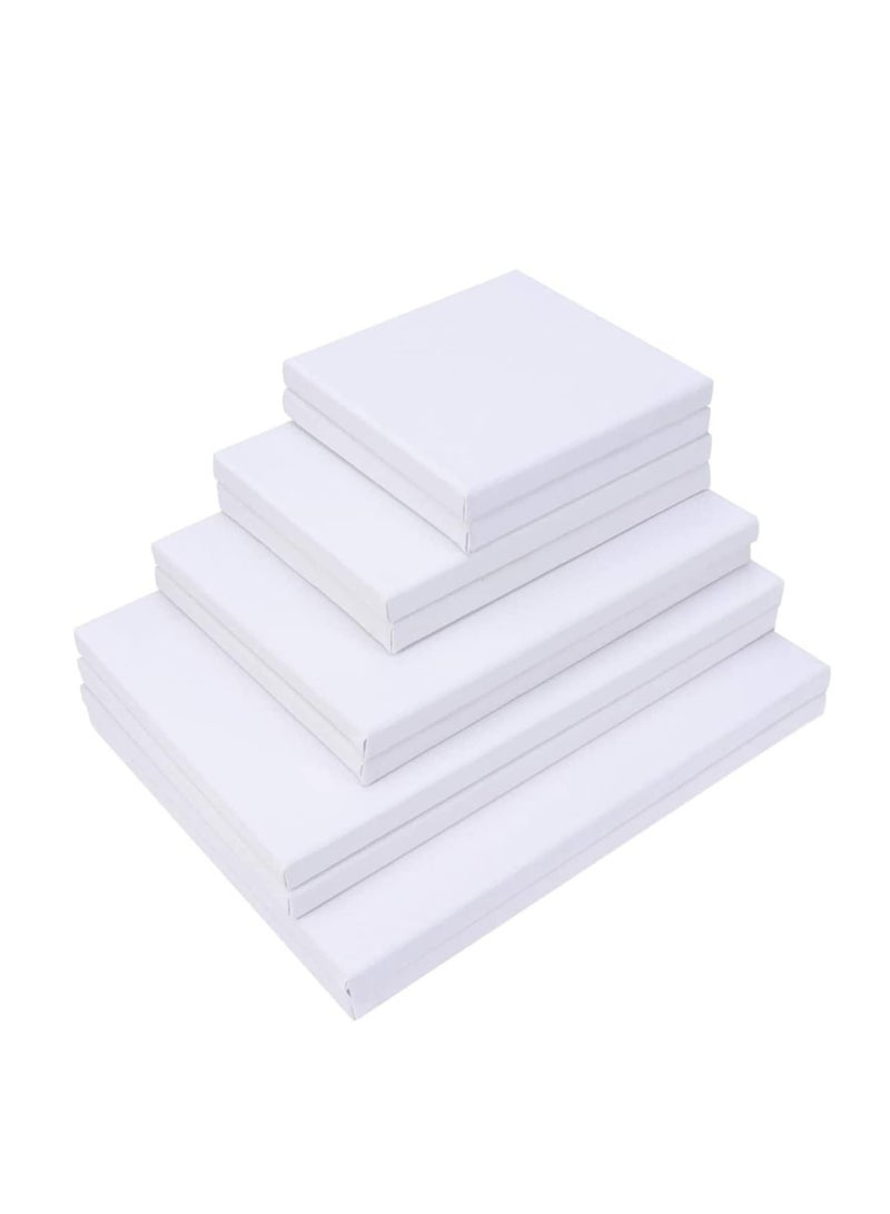 Terabyte 10-Piece Stretched Canvas Artist Painting Panel Boards White - Image 1