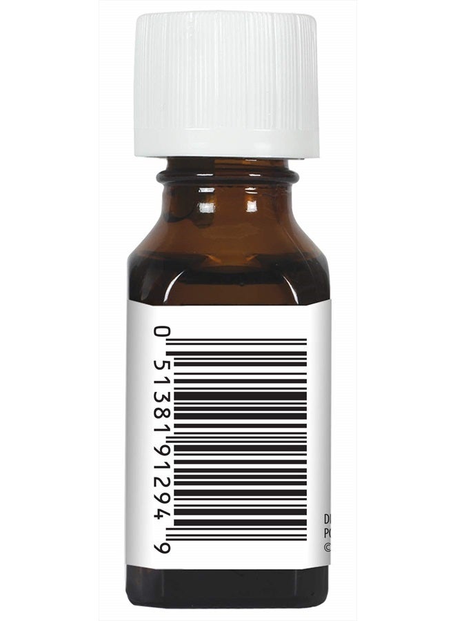 Aura Cacia زيت الصنوبر العطري النقي | 0.5 أونصة سائلة | Pinus sylvestris - Image 4