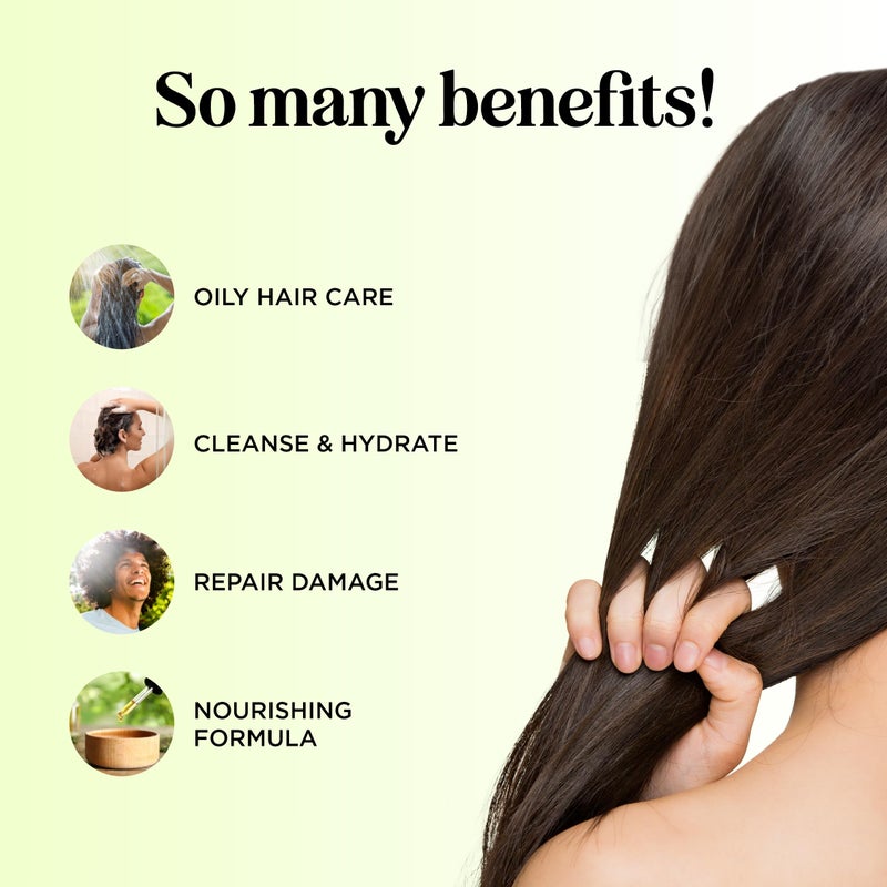 Maple Holistics Tea Tree Conditioner for Dry Hair - Tea Tree Oil Conditioner for Oily Hair and Sulfate Free Conditioner for Dry Hair - Cleansing Conditioner and Tea Tree Dry Scalp Care with Tea Tree Oil for Hair - Image 3