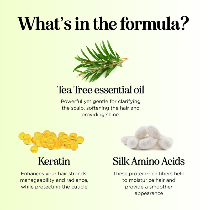 Maple Holistics Tea Tree Conditioner for Dry Hair - Tea Tree Oil Conditioner for Oily Hair and Sulfate Free Conditioner for Dry Hair - Cleansing Conditioner and Tea Tree Dry Scalp Care with Tea Tree Oil for Hair - Image 5