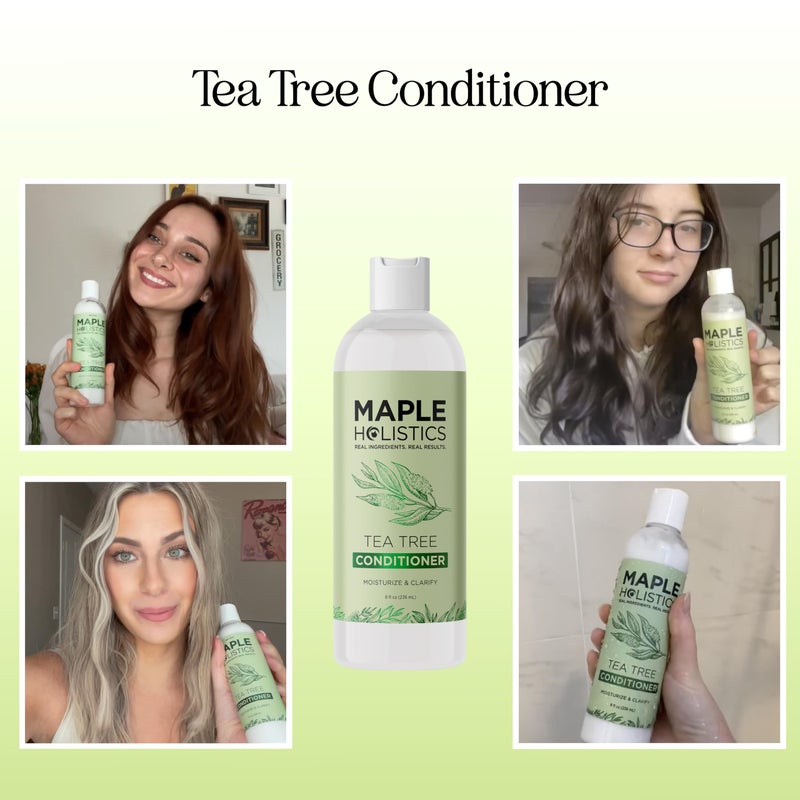 Maple Holistics Tea Tree Conditioner for Dry Hair - Tea Tree Oil Conditioner for Oily Hair and Sulfate Free Conditioner for Dry Hair - Cleansing Conditioner and Tea Tree Dry Scalp Care with Tea Tree Oil for Hair - Image 2