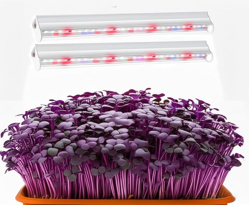 Lewano 2PCS 20W LED Grow Light for Microgreens | Full Spectrum with 6500K White, 660nm Red, 460nm Blue, 395nm UV | Linkable Indoor Lighting for Microgreen Tray & Vertical Rack Farming / 2Feet (40W =20W x 2) - Image 2