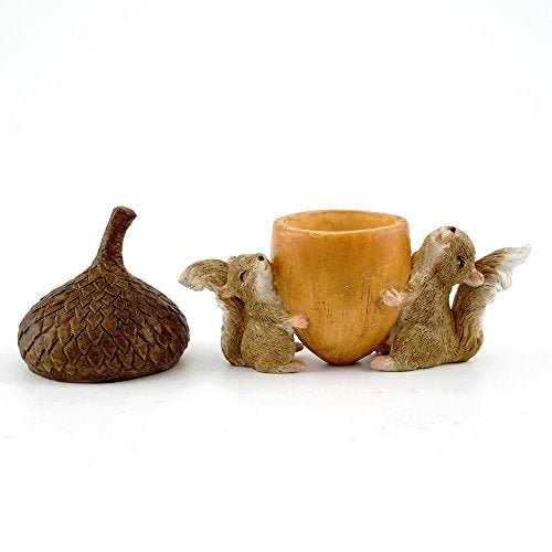 Top Collection Miniature Garden Squirrels Carrying Acorn Trinket Box with Secret Compartment Decor, Small - Image 2