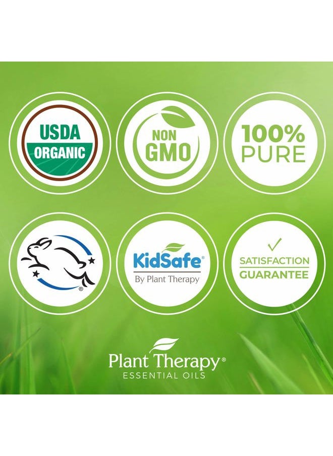 Plant Therapy Organic Blue Tansy Essential Oil 100% Pure, Undiluted, Natural Aromatherapy, Therapeutic Grade 5mL (1/6 oz)  - Image 3
