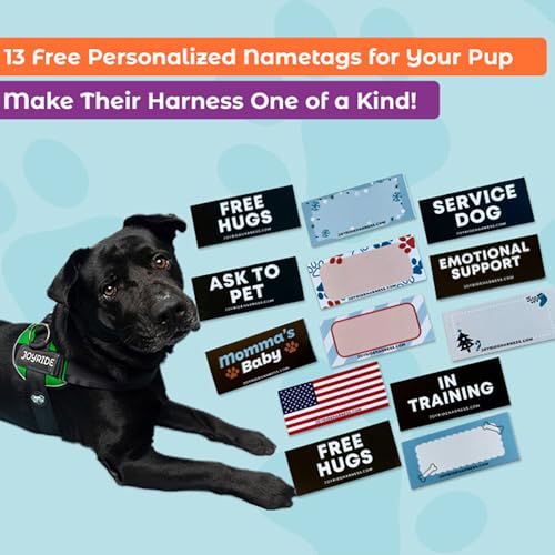 Joyride Harness 2.0 - The Original Side Ring No Pull Dog Harness - No Choke, Escape Proof, Reflective, 3 Leash Clips, Quick Fit Pet Vest - Easy Walks & Training - for Small, Medium & Large Dogs - Image 4
