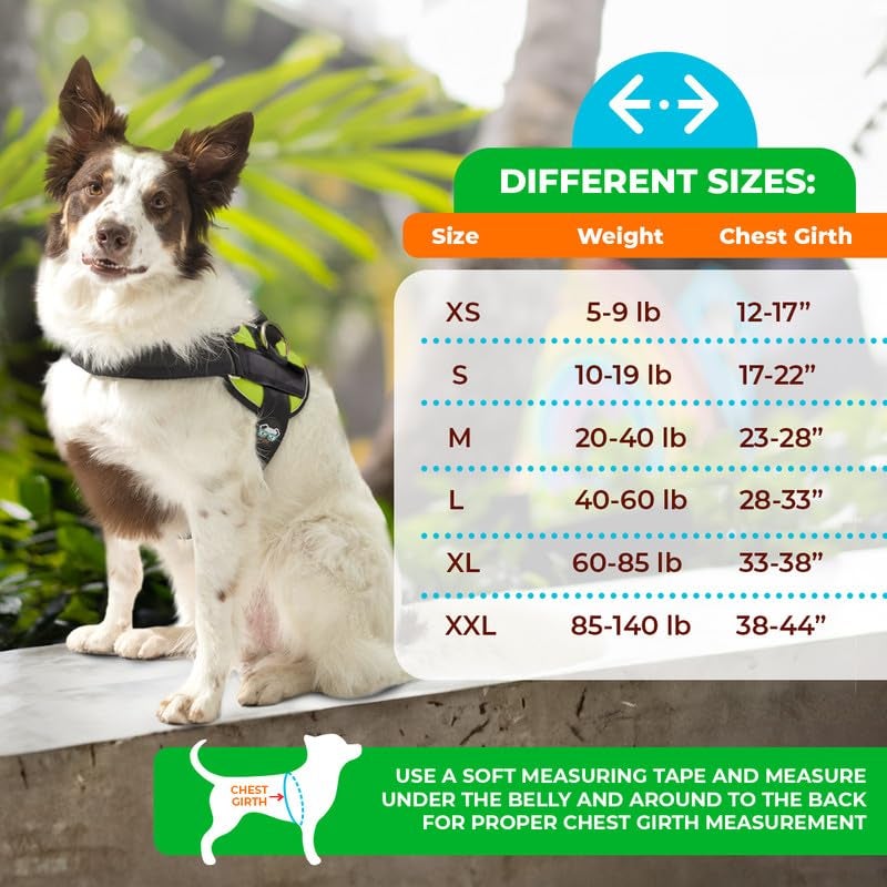 Joyride Harness 2.0 - The Original Side Ring No Pull Dog Harness - No Choke, Escape Proof, Reflective, 3 Leash Clips, Quick Fit Pet Vest - Easy Walks & Training - for Small, Medium & Large Dogs - Image 2