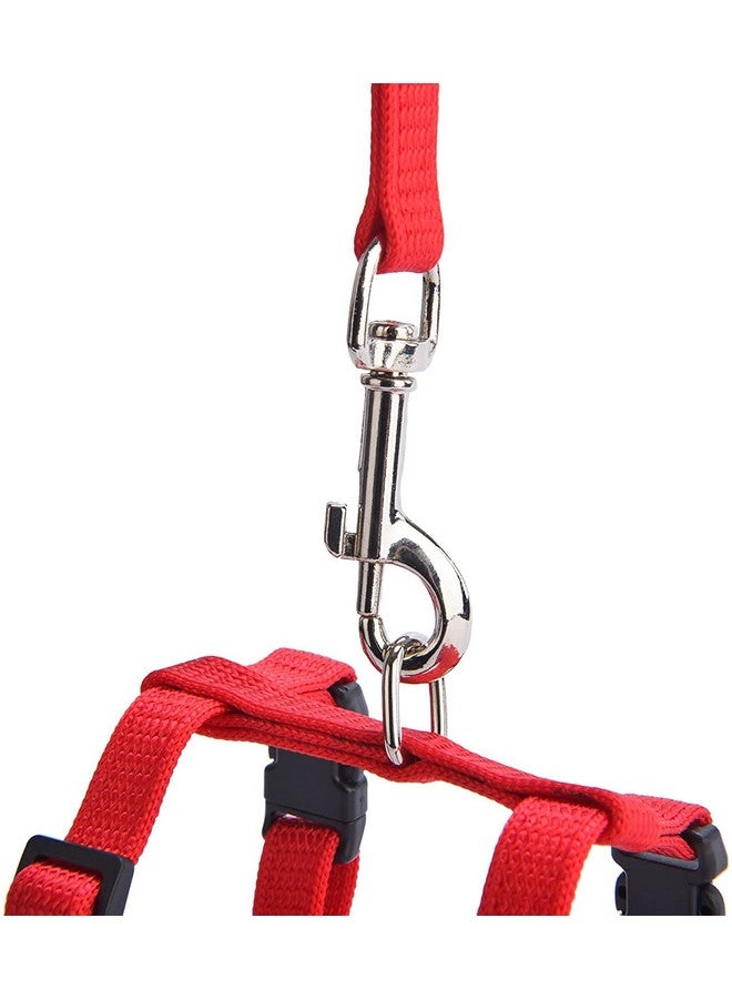 Nylon Harness Leash Set For Cat Kitten And Small Pet Nylon Harness Strap Collar | Cat Training Leash (Plain, Red) - Image 5