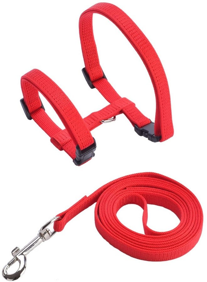Nylon Harness Leash Set For Cat Kitten And Small Pet Nylon Harness Strap Collar | Cat Training Leash (Plain, Red) - Image 2