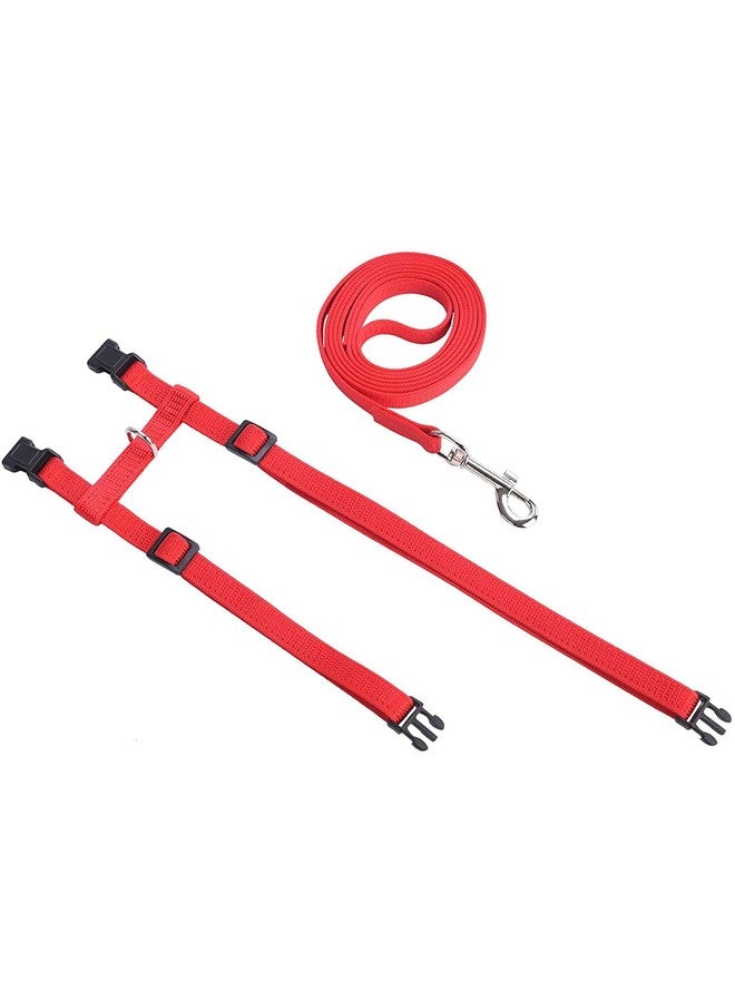Nylon Harness Leash Set For Cat Kitten And Small Pet Nylon Harness Strap Collar | Cat Training Leash (Plain, Red) - Image 4