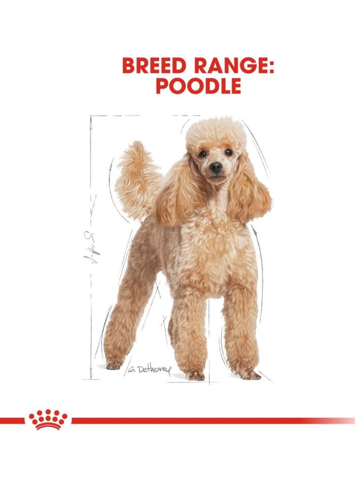 ROYAL CANIN تغذية صحة السلالة للكلاب البودل البالغة 7.5 كجم - Image 3