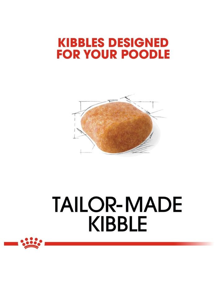 ROYAL CANIN تغذية صحة السلالة للكلاب البودل البالغة 7.5 كجم - Image 5